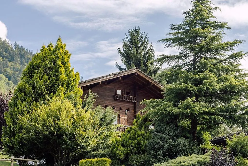 Chalet Henri, Montriond Ideal Familles